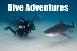 Diving adventure trips with Jonathan Bird