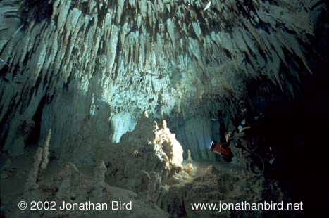 Dos Ojos Cenote [--]