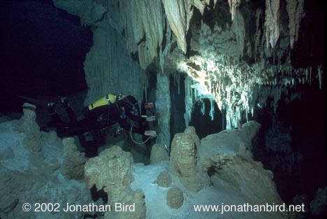 Dos Ojos Cenote [--]