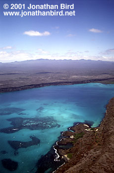 Galapagos Aerial [--]