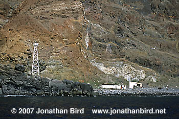 Guadalupe Island [--]