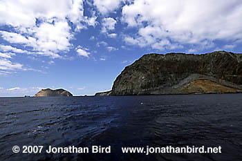 Guadalupe Island [--]