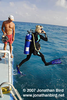 Scuba Diver [--]