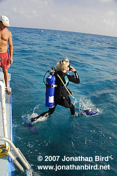 Scuba Diver [--]