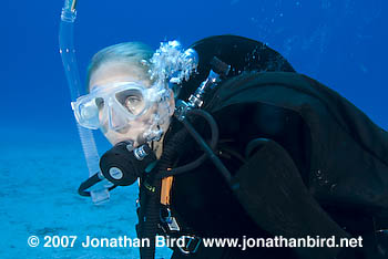 Scuba Diver [--]