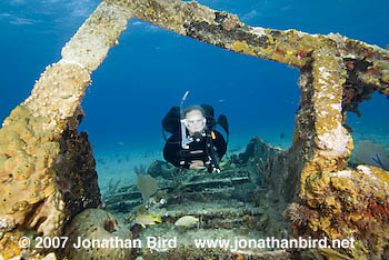 Scuba Diver [--]