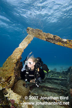 Scuba Diver [--]