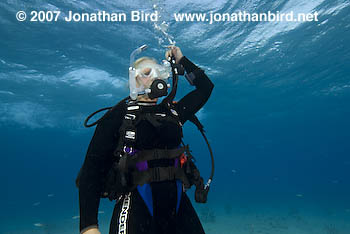 Scuba Diver [--]