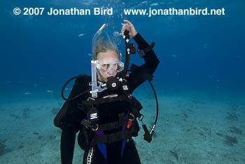 Scuba Diver [--]