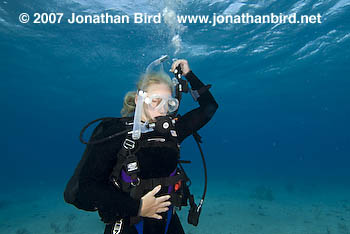 Scuba Diver [--]