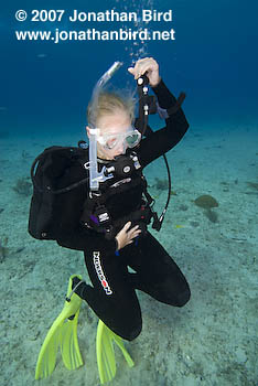 Scuba Diver [--]