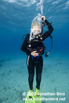 Scuba Diver [--]