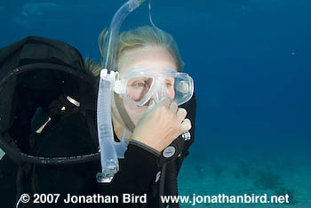 Scuba Diver [--]