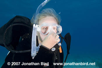 Scuba Diver [--]