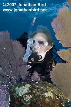 Scuba Diver [--]