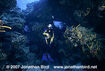 Scuba Diver [--]