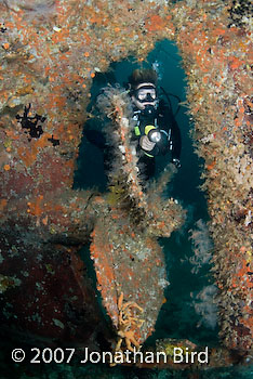 Diver Wreck [--]