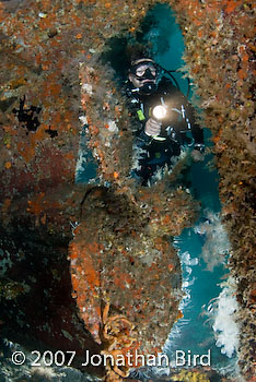 Diver Wreck [--]