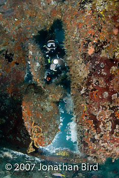 Diver Wreck [--]