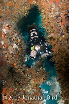 Diver Wreck [--]