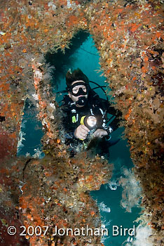 Diver Wreck [--]