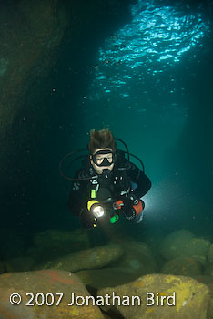 Diver Cave [--]