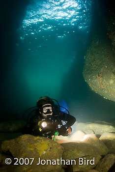 Diver Cave [--]