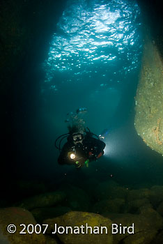 Diver Cave [--]