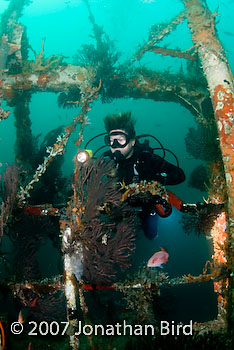 Diver Wreck [--]