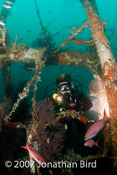 Diver Wreck [--]