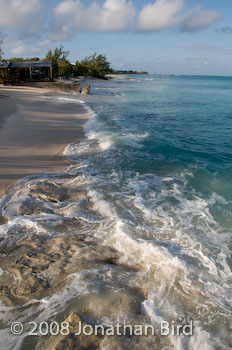  Grand Turk [--]