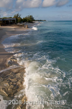  Grand Turk [--]