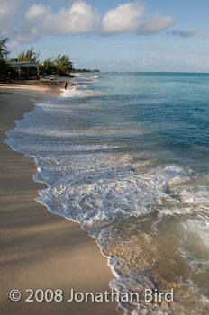  Grand Turk [--]