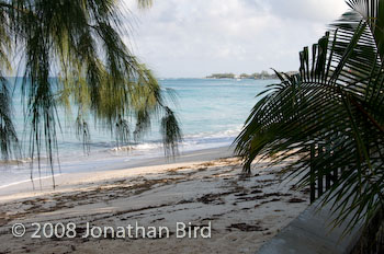  Grand Turk [--]