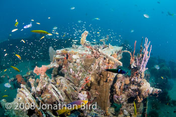 M/V River Taw Wreck [--]