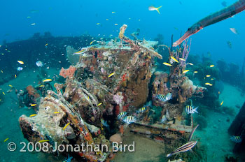 M/V River Taw Wreck [--]