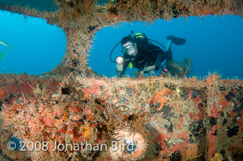 M/V River Taw Wreck [--]