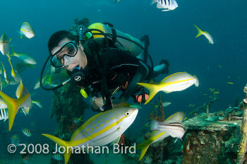 M/V River Taw Wreck [--]