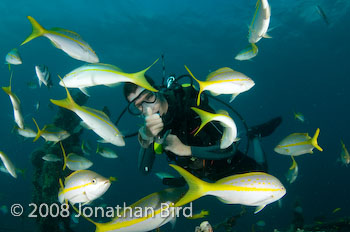 M/V River Taw Wreck [--]