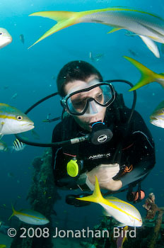 M/V River Taw Wreck [--]