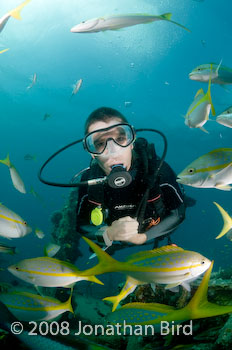 M/V River Taw Wreck [--]