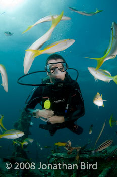 M/V River Taw Wreck [--]