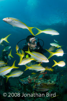 M/V River Taw Wreck [--]