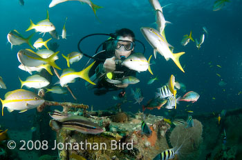 M/V River Taw Wreck [--]