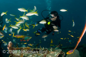 M/V River Taw Wreck [--]