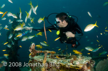 M/V River Taw Wreck [--]