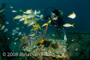 M/V River Taw Wreck [--]