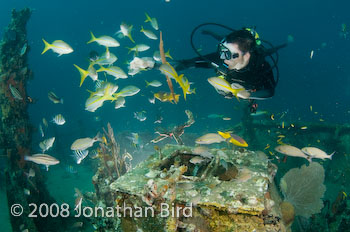 M/V River Taw Wreck [--]