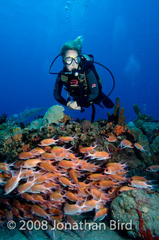 Longspine Squirrelfish [Holocentrus rufus]