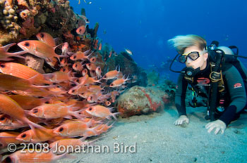 Longspine Squirrelfish [Holocentrus rufus]